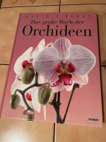 Das grosse Buch der Orchideen Brandenburg - Petershagen Vorschau