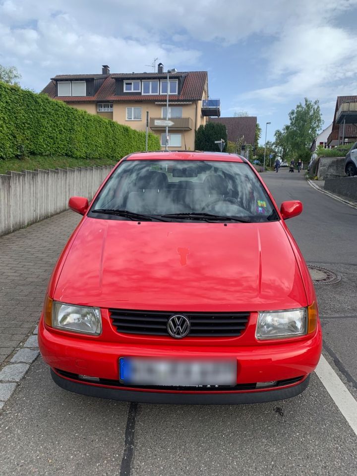 Volkswagen Polo 1.0 Basis in Konstanz