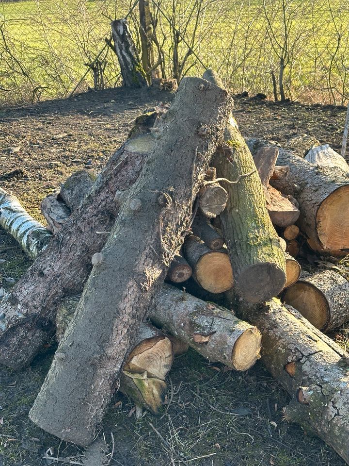 Holz für Kamin… in Ernzen