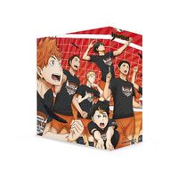 Suche Leerschuber Haikyu Staffel 1 Blu Ray Bayern - Altfraunhofen Vorschau