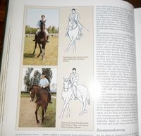 Das große Buch des Pferdes (anschauliches Buch auch zum lernen) Rheinland-Pfalz - Buchholz (Westerwald) Vorschau