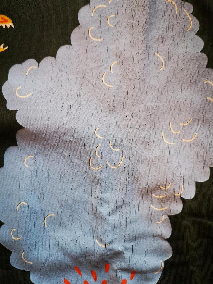 Tolles Langarmshirt der Marke Mini Boden 7-8 Jahre in Wunstorf