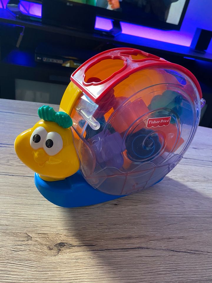 Fisher Price Motorik Schnecke mit Musik in Altenstadt an der Waldnaab