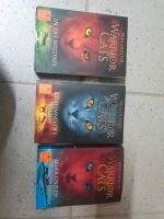 Bücher "warrior cats" Erin Hunter Nordrhein-Westfalen - Paderborn Vorschau