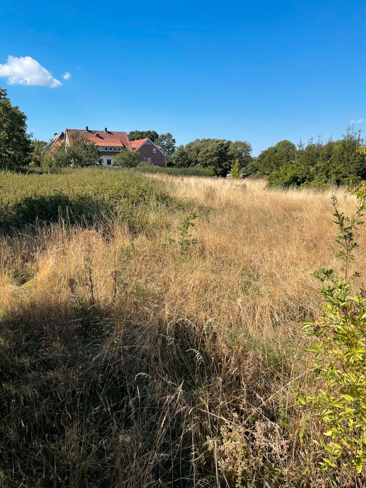 Inkl. Grundstück, zu Hause einfach genießen, Ihr schönes Familienhaus in Bantorf. in Barsinghausen