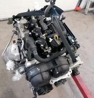 Motor Komplett Ford M8ME 1.5 EcoBoost 150PS 19TKm Benzin Brandenburg - Küstriner Vorland Vorschau