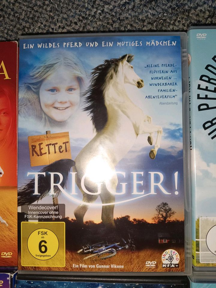 Pferde Filme in Friedrichsthal