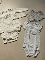 Petit Bateau Body Set 18 Monate 81 Nordrhein-Westfalen - Bad Lippspringe Vorschau