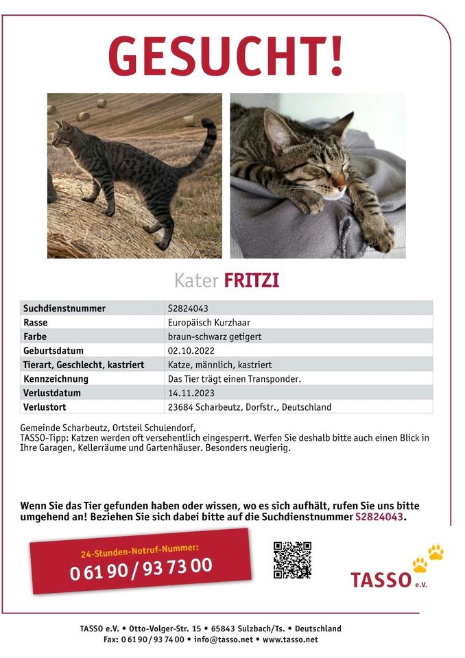 Kater vermisst in Scharbeutz