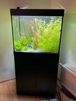 Juwel Aquarium Lido 200 + Unterschrank Baden-Württemberg - Ulm Vorschau