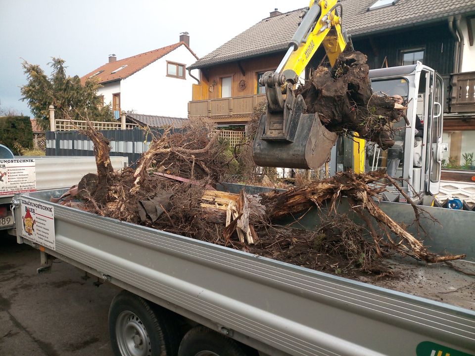 Gartengestaltung - Hecken entfernen - Pflasterarbeiten - Torbau in Schwabmünchen