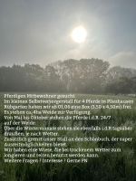 Pferdebox frei Baden-Württemberg - Pliezhausen Vorschau