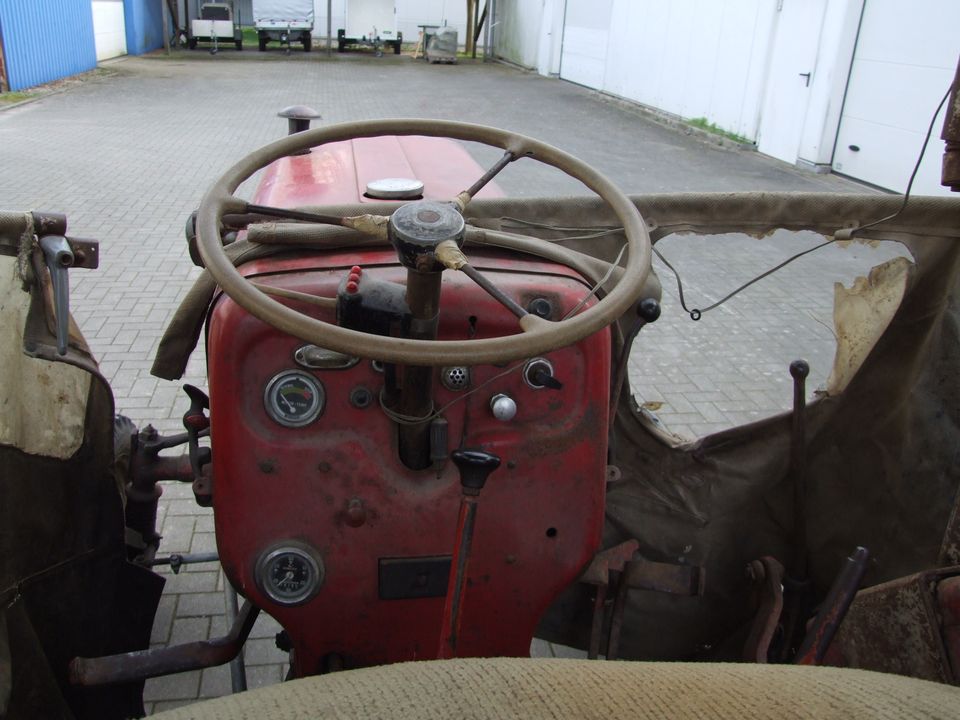 IHC Mc Cormick D 214 International- Farmall in Krummwisch