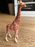 Schleich Giraffe Aachen - Aachen-Brand Vorschau