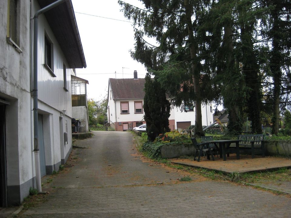 2 Wohnhäuser und ein Bauplatz in Hüttigweiler,gesamt ca 2000qm in St. Wendel