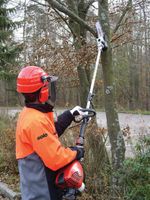 Astsäge,25cm Schwert,bis 4 m Arbeitshöhe mieten in Hildesheim Niedersachsen - Hildesheim Vorschau