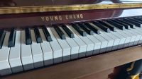 Klavier Young Chang Münster (Westfalen) - Roxel Vorschau