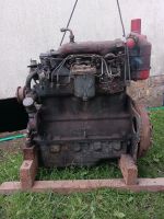 MTS 50/52 Motor,  Belarus Sachsen - Limbach-Oberfrohna Vorschau