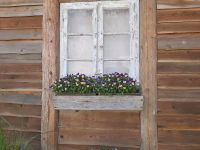 Balkonkasten zum Bepflanzen aus Holz. Bayern - Schierling Vorschau