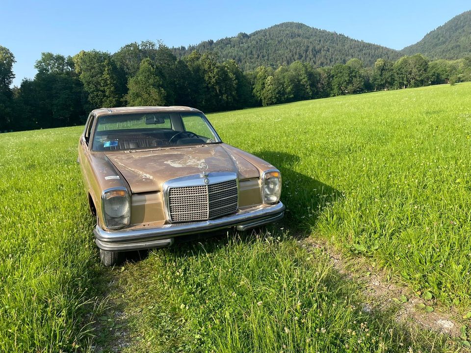 Mercedes Benz 250CE W114 Strich/8 in Lenggries