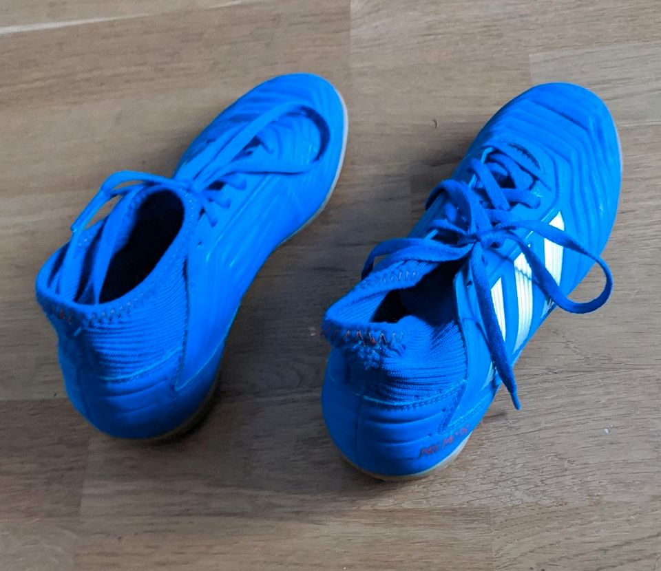 Adidas Predator Fußballschuhe Halle blau in Lindau