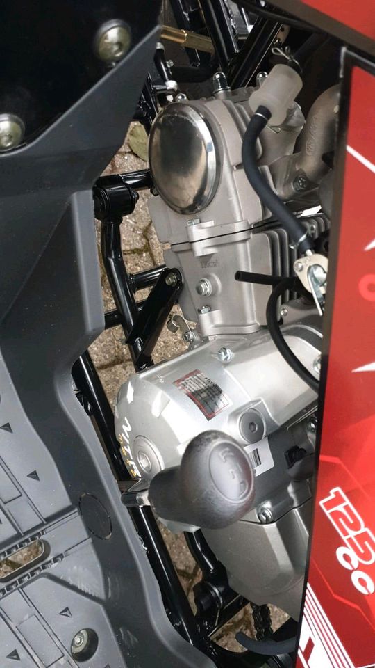 Kinderquad Atv Rizzo RS8-A midi Quad 125cc 8 Zoll Automatik + R in Bad Breisig 