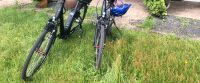 2 EBike, Winora, Tria N7f Saarland - Kirkel Vorschau