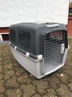 Hundetransport Box Nordrhein-Westfalen - Wipperfürth Vorschau