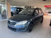 Skoda Roomster Active Plus Edition 8x Bereift Sachsen-Anhalt - Wernigerode Vorschau