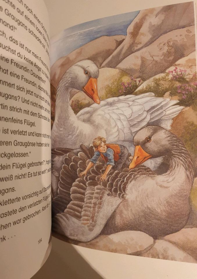 Bücherbär Nils Holgersson Peter Pan Dschungelbuch Erstleser 2,50 in Berlin