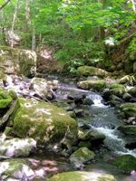 Wandern im Westerwald Rheinland-Pfalz - Buchholz (Westerwald) Vorschau