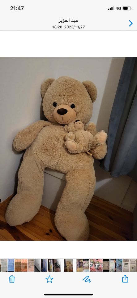 Xl teddy bär in Schweinfurt