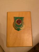 Auszeichnung der DDR Volkspolizei, Bestenabzeichen groß Brandenburg - Cottbus Vorschau