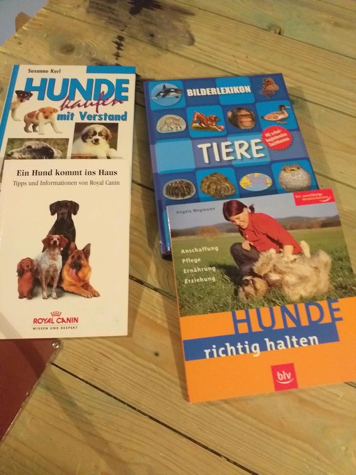 Hundebücher ideal für Leute die sich einen Hund anschaffen wollen in Bad Essen