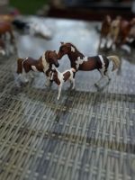 Schleich Pferde mit Fohlen Niedersachsen - Buchholz in der Nordheide Vorschau