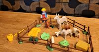 Playmobil 6133 Country Tiergehege Weide Esel Schafe Ibbenbüren - Laggenbeck Vorschau