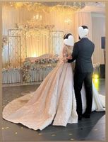 Brautkleid Hochzeitskleid mit langer Schleppe Wandsbek - Hamburg Farmsen-Berne Vorschau