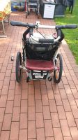 Fahrradanhänger/Kinderwagen chariot cx1 Nordrhein-Westfalen - Jülich Vorschau