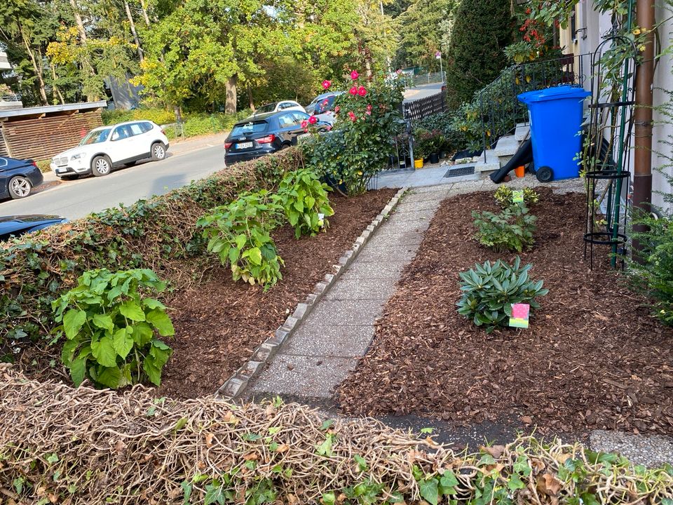 Gartenarbeit-Gartenbau-Heckenschneiden-Rollrasen-baumschnitt in Zirndorf