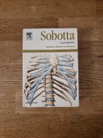 Sobotta Lernkarten Knochen, Bänder und Gelenke - Anatomie Medizin Hamburg - Altona Vorschau