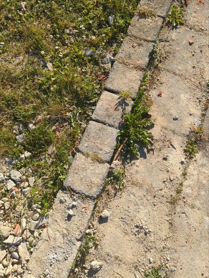 Bodenplatten Terrassenplatten zu verschenken in Magdeburg