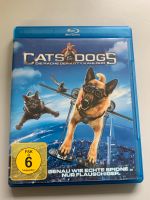 Blu-ray  Cats & Dogs Bayern - Elchingen Vorschau
