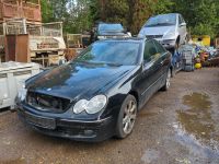 Schlachtfest Mercedes CLK W209 Teile Baden-Württemberg - Deggingen Vorschau