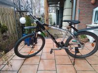 Bulls Mountainbike Haida 26 Zoll Nordrhein-Westfalen - Enger Vorschau