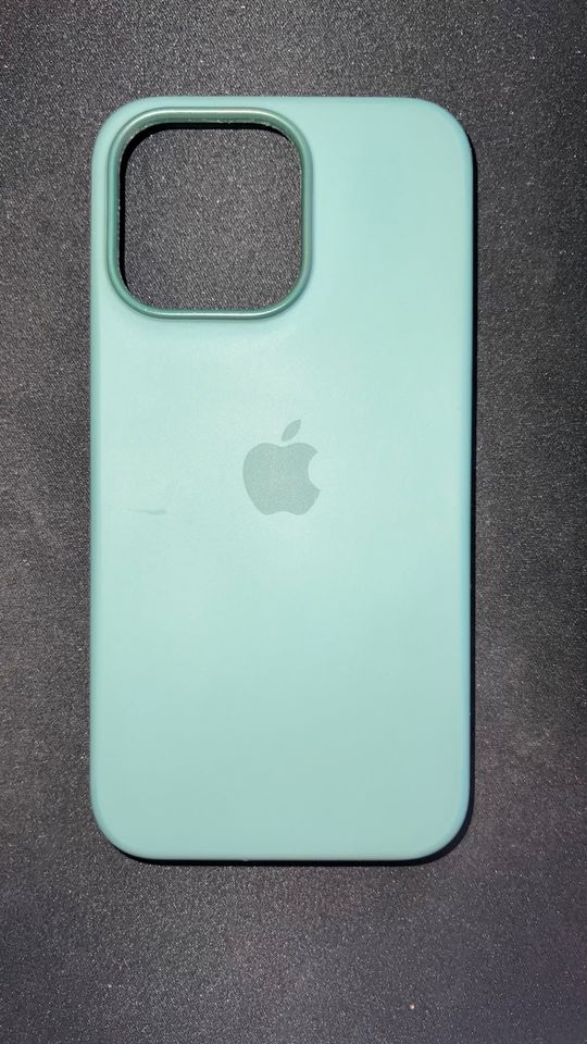 Apple iPhone 13 pro Magsafe Silikoncase Eukalyptus in Nalbach