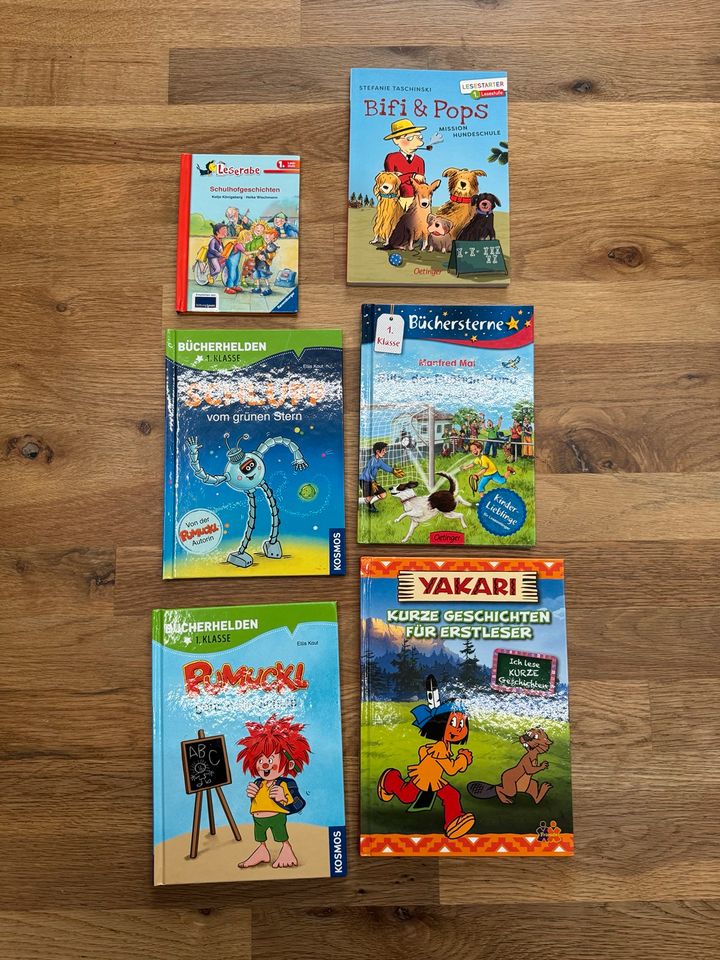Tolle Kinderbücher 1.Klasse in Neustadt an der Aisch