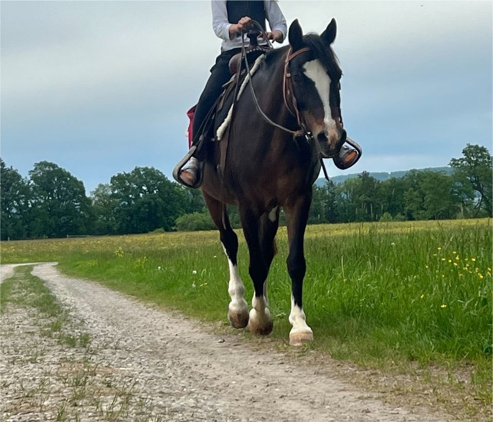 Westernreiten auf zuverlässigen Reitpony- Reitbeteiligung in Raisting