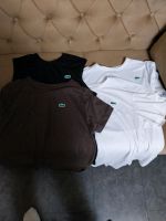 Lacoste t shirts M L XXL Berlin - Neukölln Vorschau