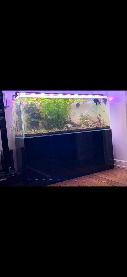 ❌❌ Aquarium Weißglas OptiWhite 700l 180x60x65 cm ❌❌ in Wiesbaden