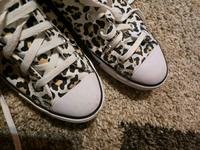CONVERSE All Star Bayern - Donauwörth Vorschau